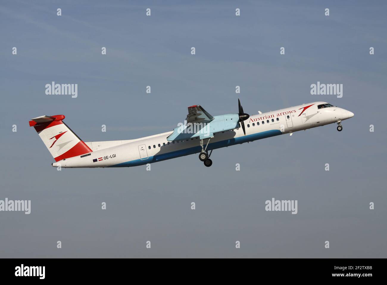 Tyrolean Airways Bombardier Dash 8 Q400 in österreichischer Pfeilen-Lackierung mit Registrierung OE-LGI gerade am Frankfurter Flughafen. Stockfoto