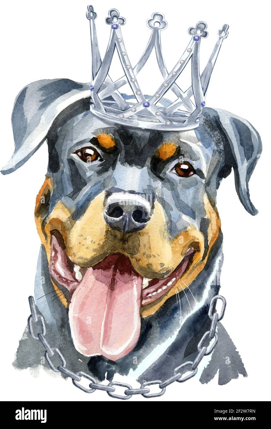 Niedlicher Hund mit Krone. Dog T-Shirt Grafiken. Aquarell Rottweiler Stockfoto