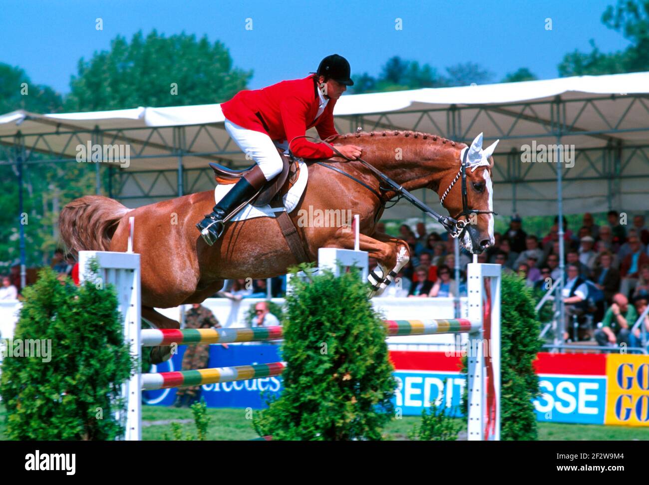 CSIO Luzern, 1994, Anton-Martin Bauer (AUT) auf Hercule Poirot Stockfoto