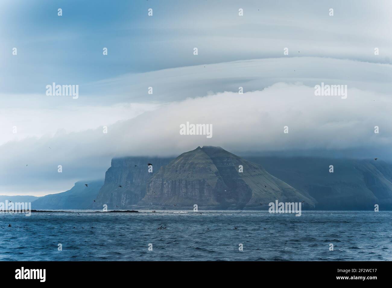 Panoramablick auf die wunderschöne Landschaft in Mykines, mit Fokus auf eine Papageientaucher-Familie, Färöer-Inseln Stockfoto