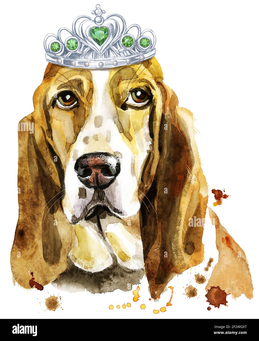 Niedlicher Hund. T-Shirt-Grafiken für Hunde. Aquarell-Basset-Hund mit silberner Krone Stockfoto