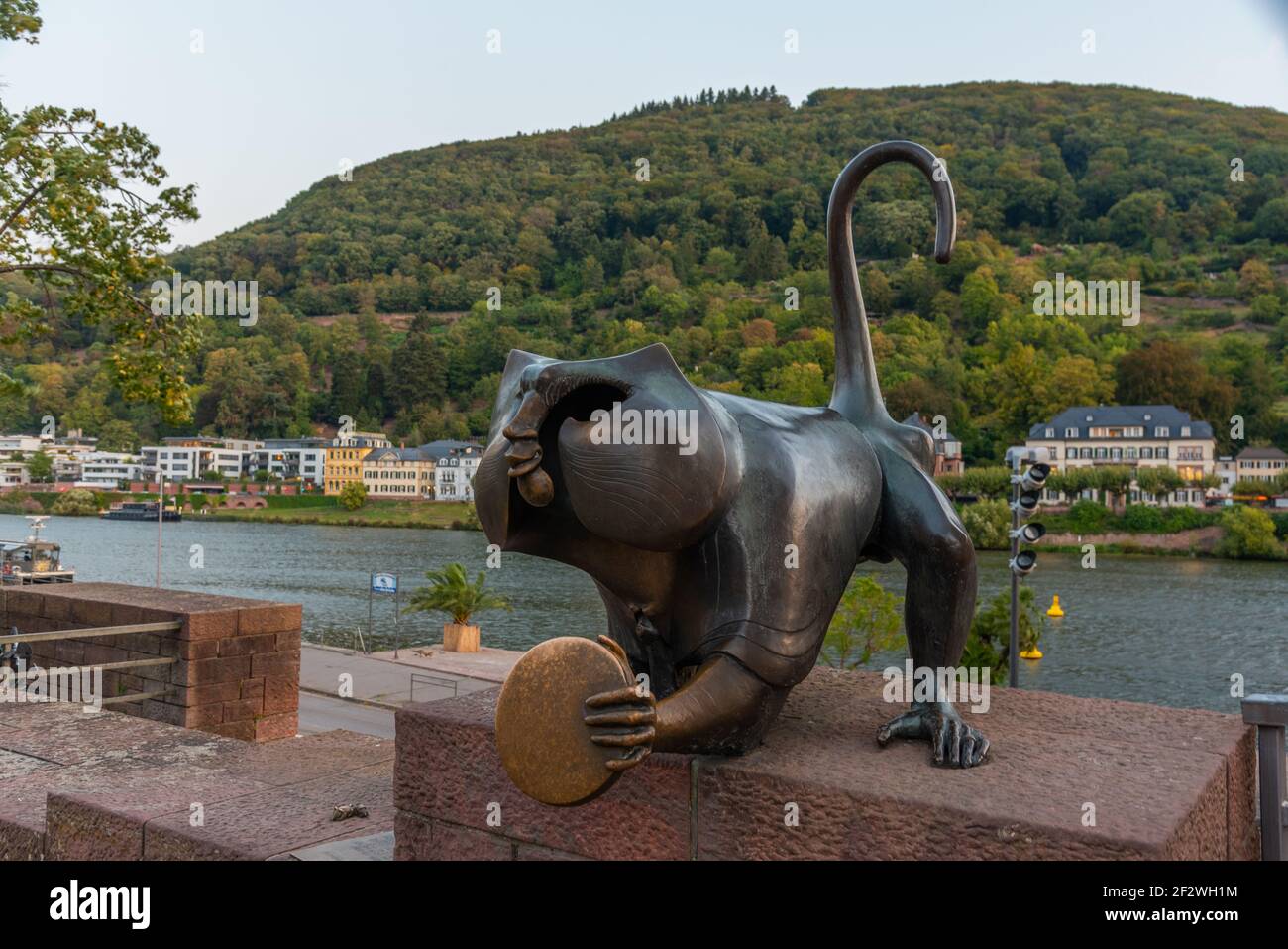 Bronzestatue eines Affen in Heidelberg, Deutschland Stockfoto