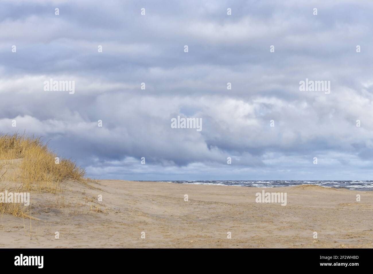 Schönes raues Meer mit Wellen und Sandstrand mit Schilf und trockenem Gras. Stockfoto