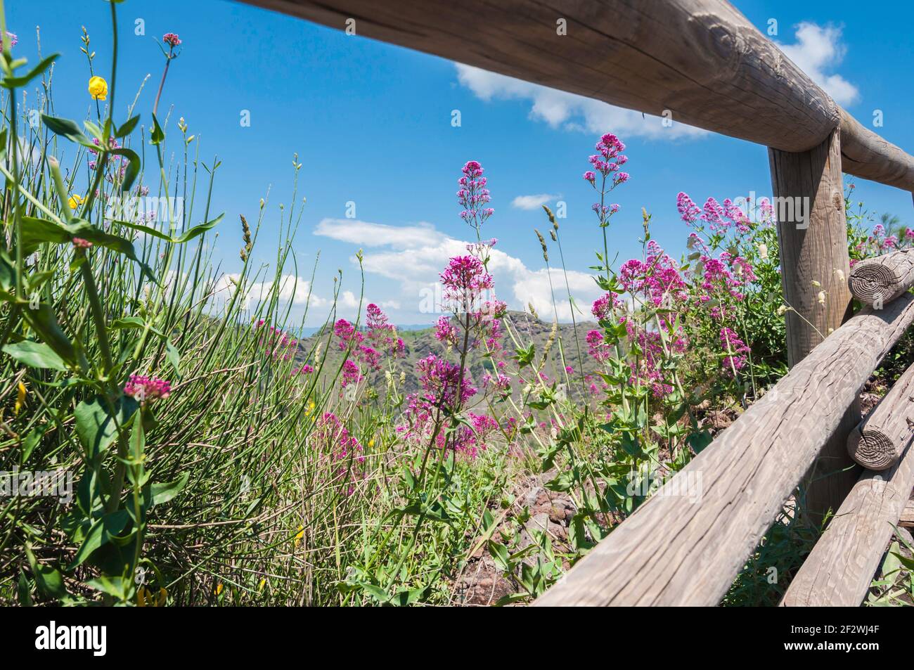 Blick durch einen Holzzaun auf einen mit Blumen gesäumten Kraterrand des Vulkans, ein wunderschöner sonniger Sommertag Stockfoto