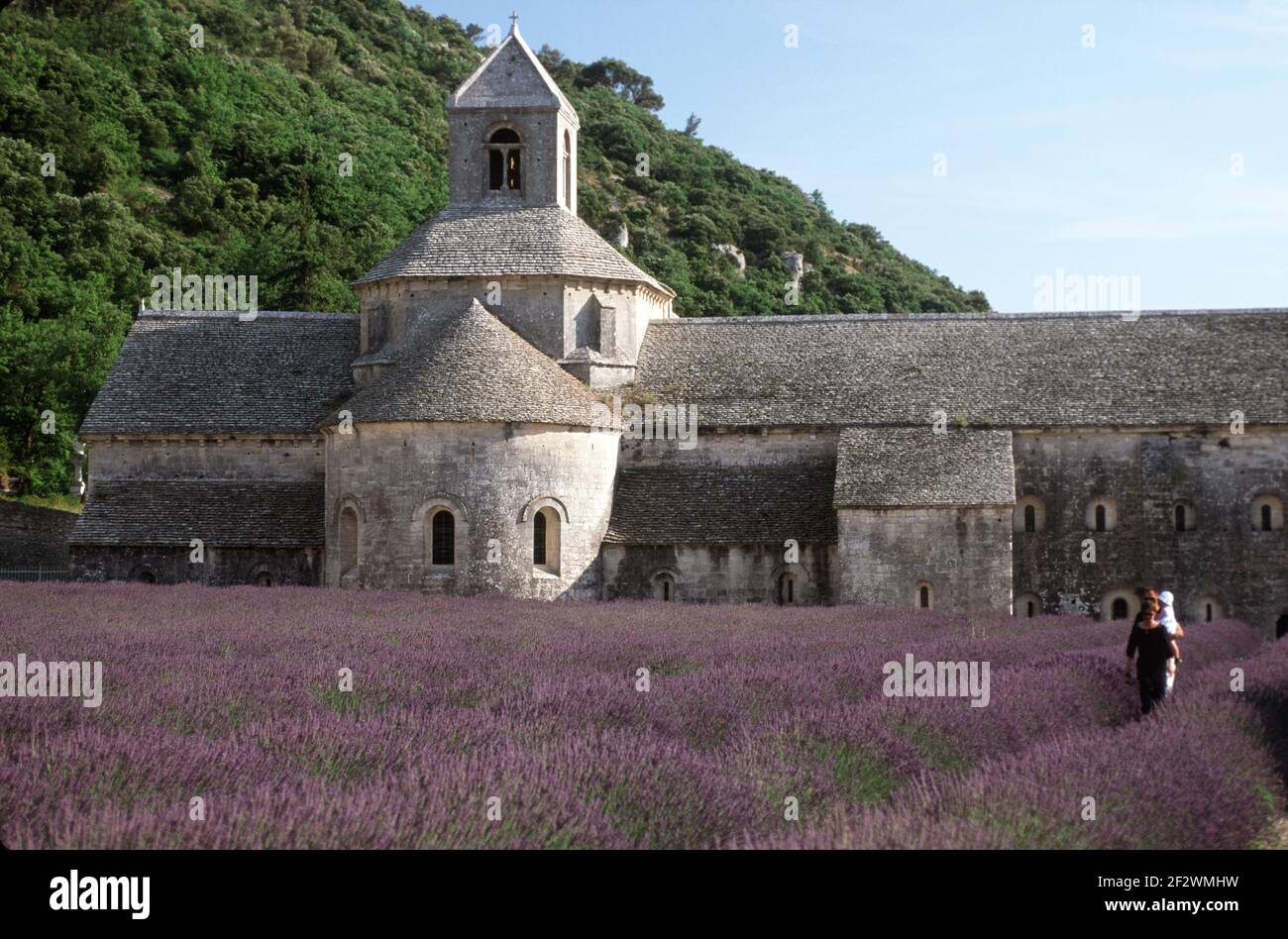 Abbaye Notre-Dame de Senanque Stockfoto