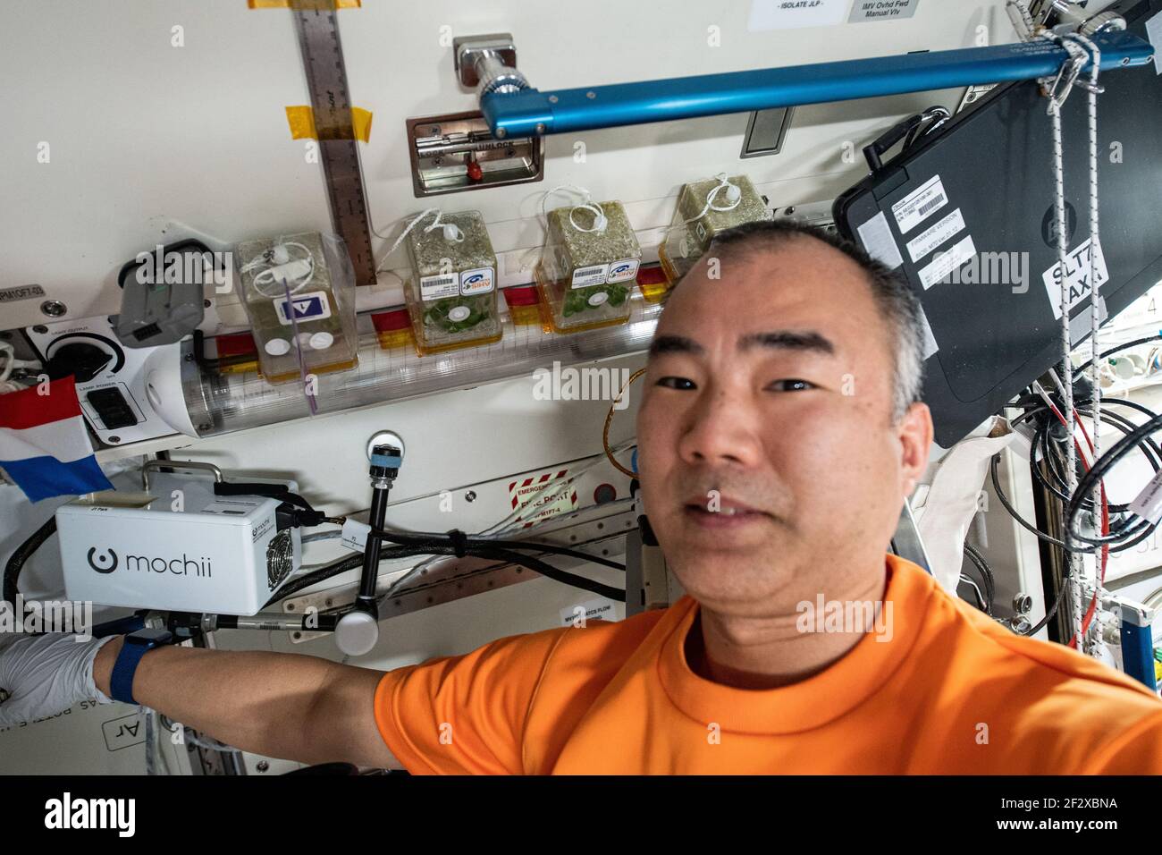 JAXA Astronaut und Expedition 64 Flugingenieur Soichi Noguchi posiert mit Pflanzen, die in Containern für die Asian Herbs Studie an Bord der Internationalen Raumstation wachsen 9. März 2021in Erde Orbit. Die Weltraumbotanik Untersuchung erforscht Möglichkeiten, schnell wachsende Pflanzen für die traditionelle Medizin und Lebensmittelaromen verwendet kultivieren. Stockfoto