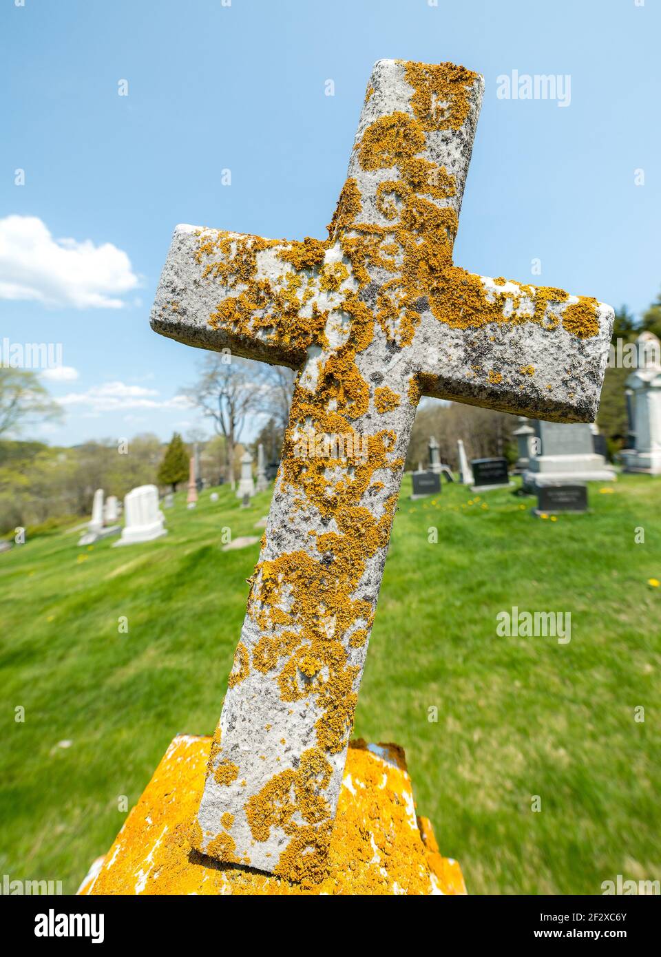 Alte Grabmarke. Sie ist mit Moos und Flechten bedeckt. Etwa die Hälfte des Kreuzes ist mit gelbem Wachstum bedeckt, und es beginnt zu fallen. Stockfoto