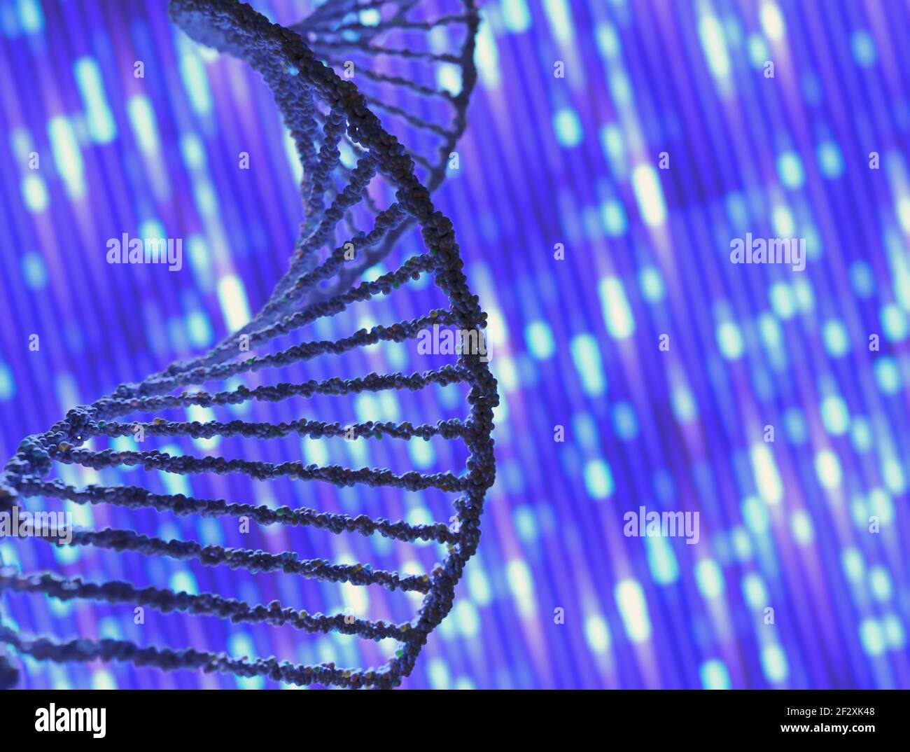 DNA-Molekül im Vordergrund und Bildschirm im Hintergrund mit DNA-Sequenzierung. Stockfoto