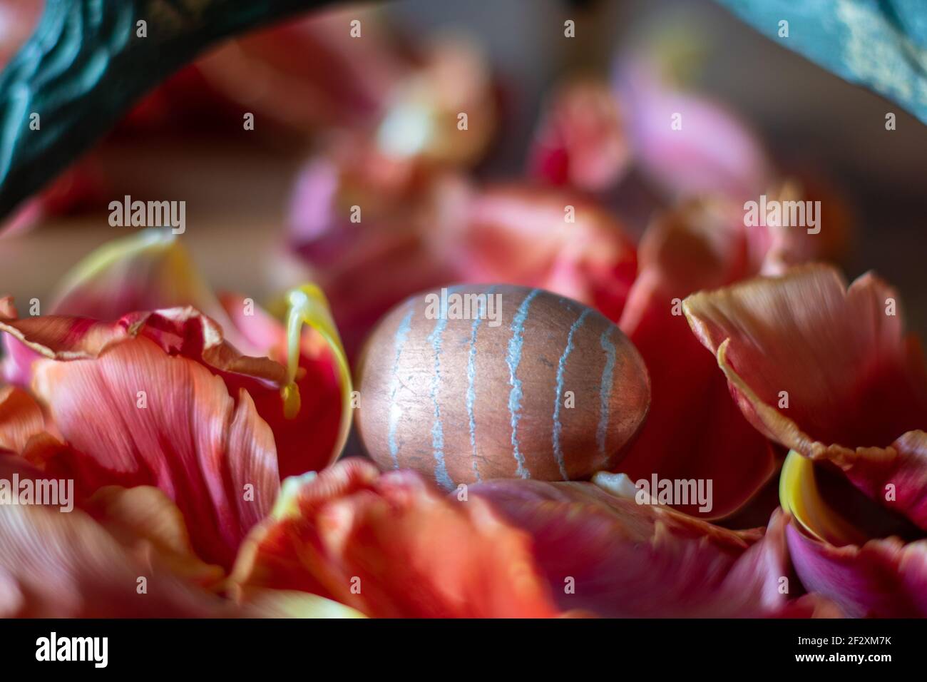 Rote und rosa Tulpenblätter und Blüten drapiert mit ostern Ei Stockfoto