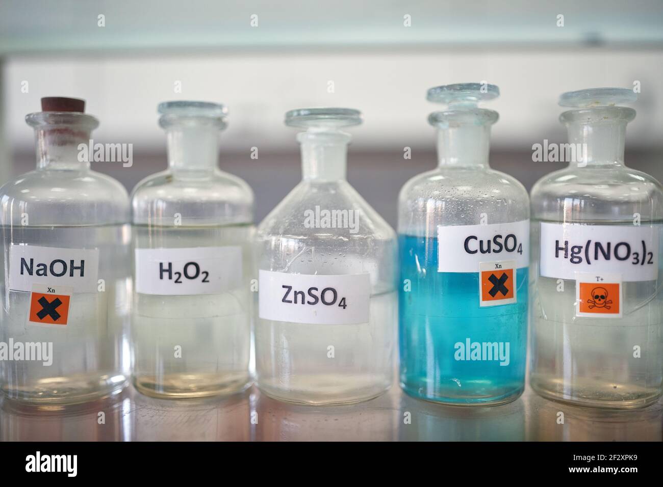 Gefährliche Chemikalien auf dem Regal in einer sterilen Umgebung des Labors. Chemie, Labor, Chemikalien Stockfoto