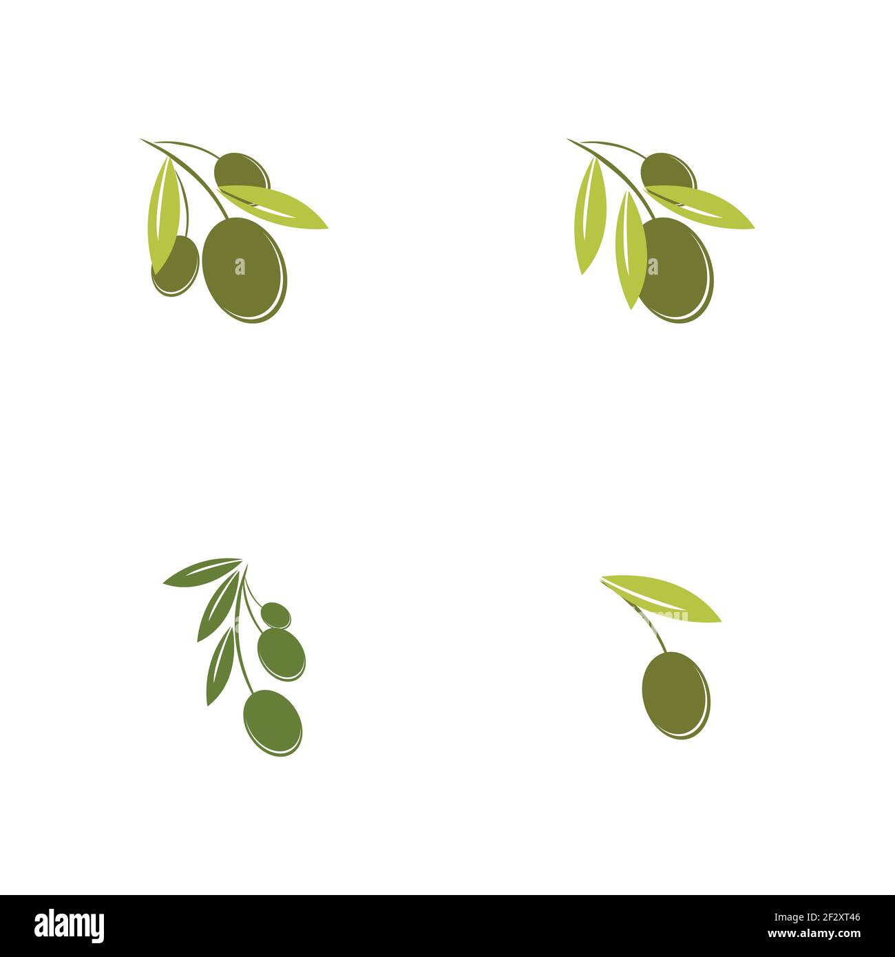Satz von Olive Logo Vorlage Vektor Symbol Illustration Design Stock Vektor