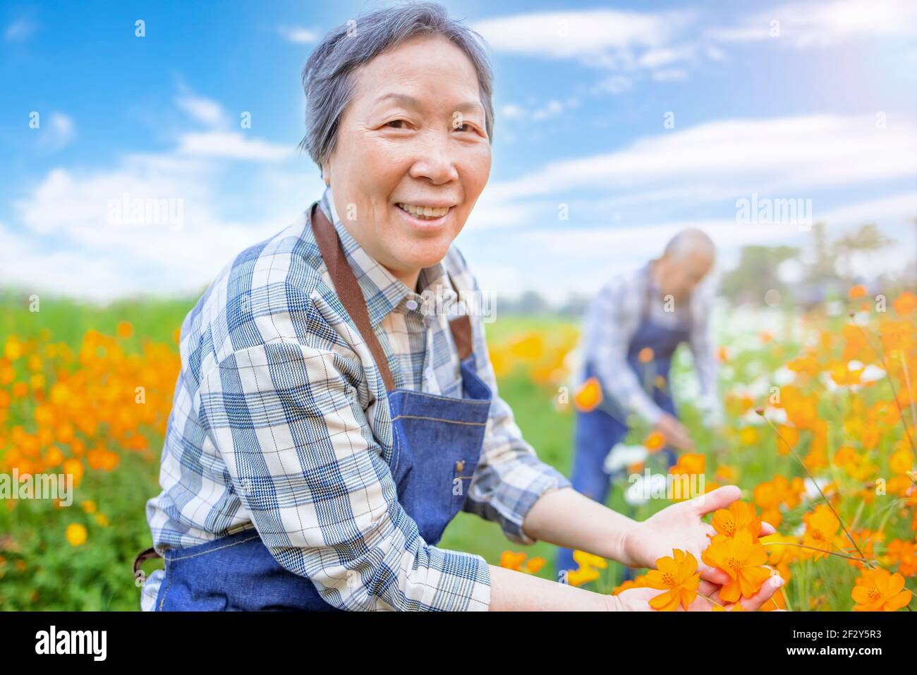 Glückliches asiatisches Seniorenpaar, das morgens im Garten arbeitet Stockfoto