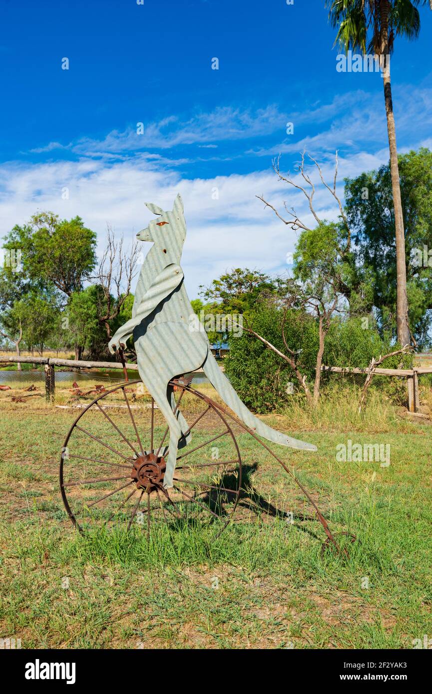 Humorvolle Tierkunst eines Kängurus auf einem Pennyfarthing Fahrrad in Charlotte Plains, einer alten Rinder- und Schafstation in der Nähe von Cunnamulla, Queensland, QLD, Au Stockfoto