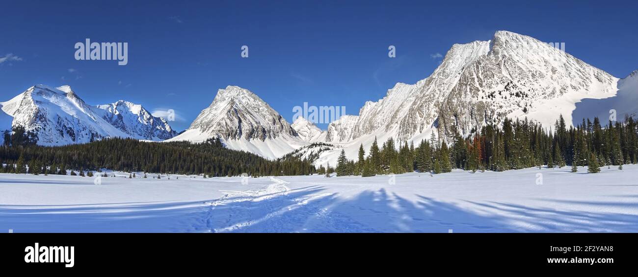 Schneebedeckte Alpine Meadow Sonnenlicht entfernter Mountain Peak am Horizont. Panoramalandschaft Chester Lake Winter Kananaskis Schneeschuhwandern Alberta Kanada Stockfoto