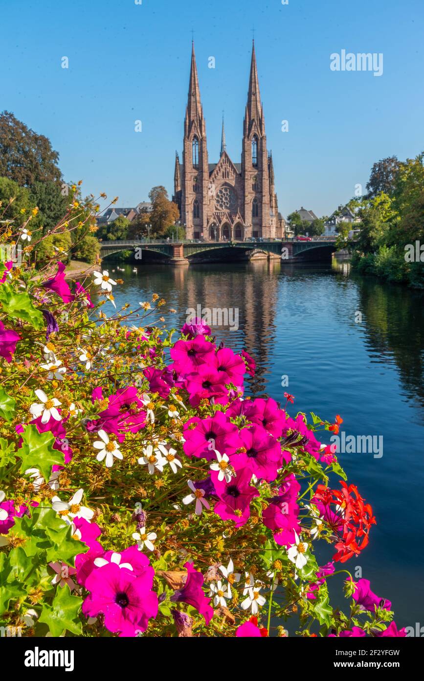 Ansicht der St. Paul's Kirche in Straßburg, Frankreich Stockfoto