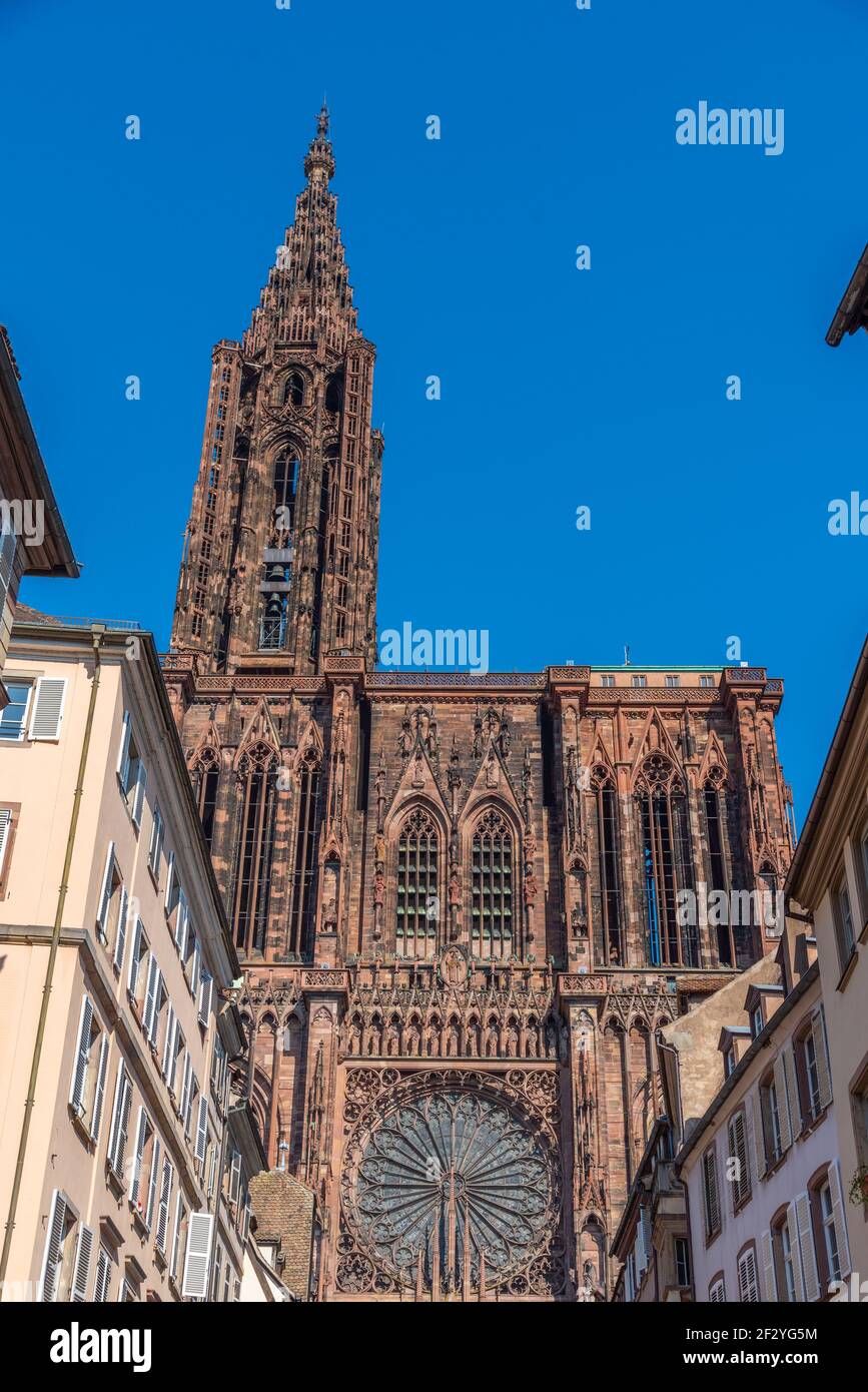Kathedrale unserer Dame von straßburg in Frankreich Stockfoto