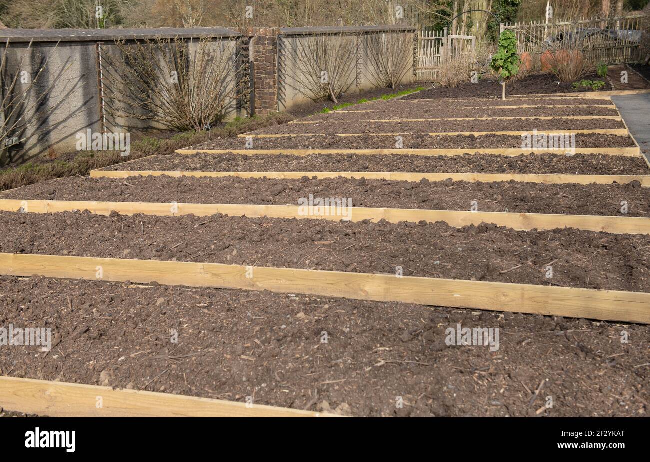 Frisch gegraben Neue erhöhte Betten in Vorbereitung für die Pflanzung Frühling Hausgewachsenes Bio-Gemüse und Pflanzen auf einer Zuteilung in Ein Gemüsegarten Stockfoto