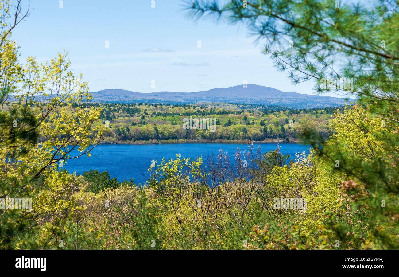 Blick auf den Wachusett Mountain und das Reservoir vom Tower Hill Gipfel aus. Bäume mit Frühlingsblättern. New England Botanic Garden am Tower Hill Stockfoto