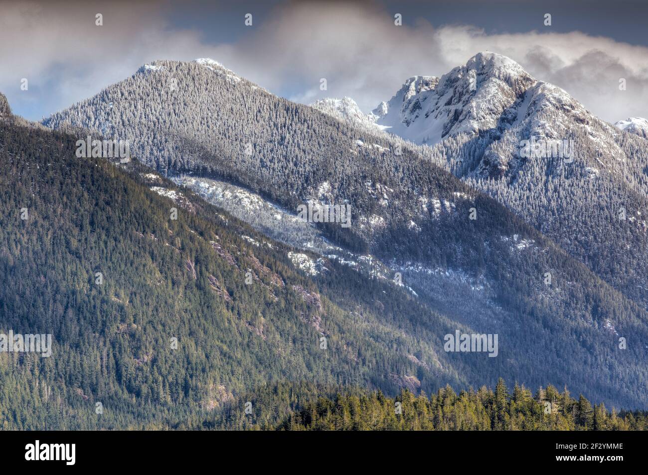 Frischer Schnee auf fernen Hügeln auf Vancouver Island, BC, Kanada Stockfoto