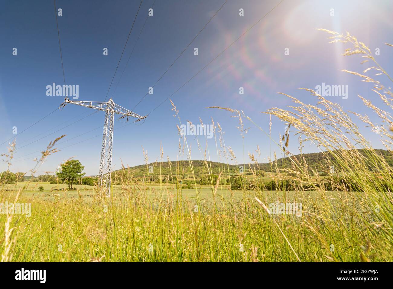 Strompylon und Sonnenstrahlen in einem Feld, das Grün symbolisiert Strom und erneuerbare Energien Stockfoto