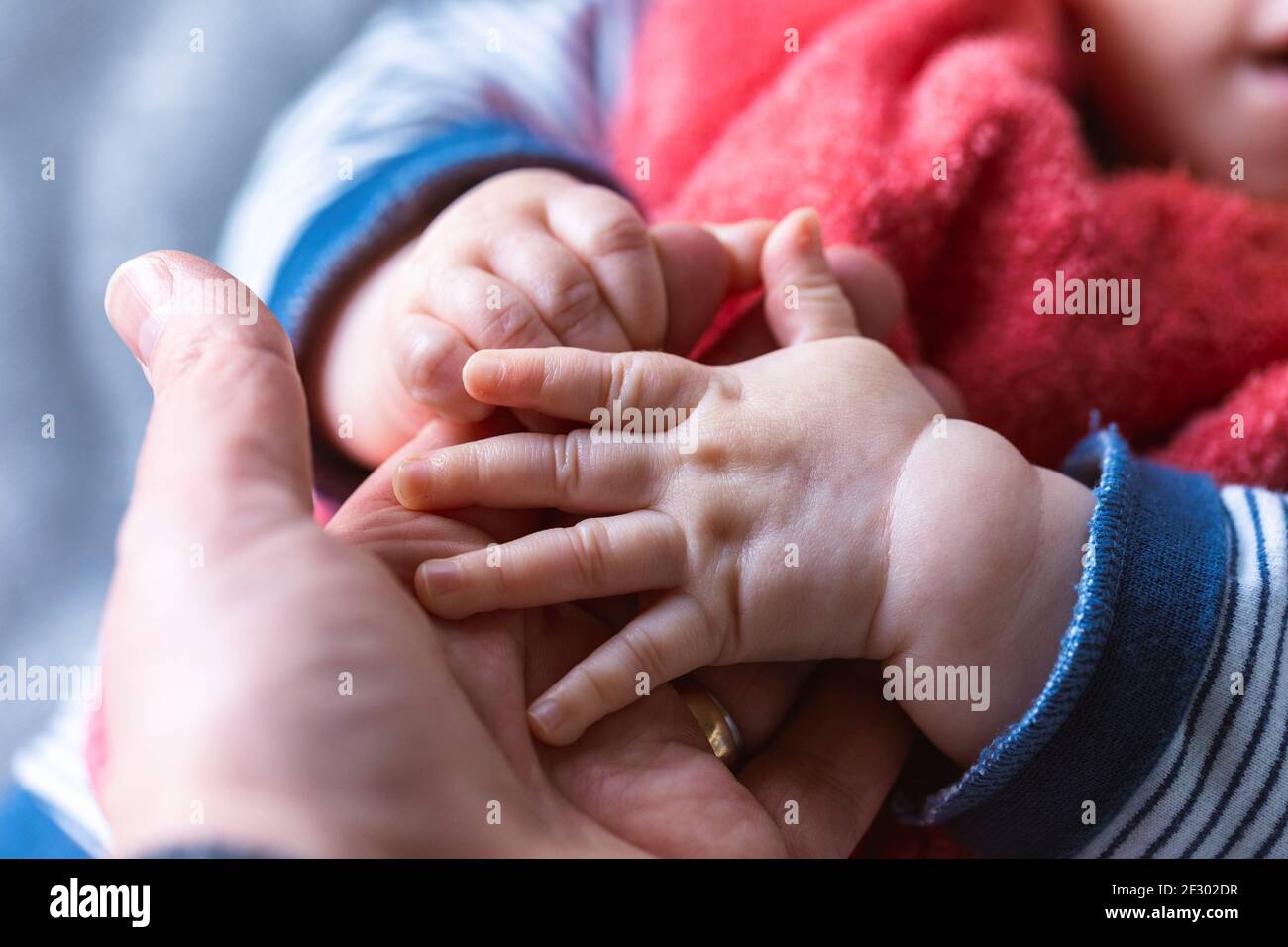 Ein Nahaufnahme Porträt von kleinen Baby Hände halten die Hand des Vaters. Die Finger einer Hand greifen den Finger des Elternteils und die andere ist resti Stockfoto