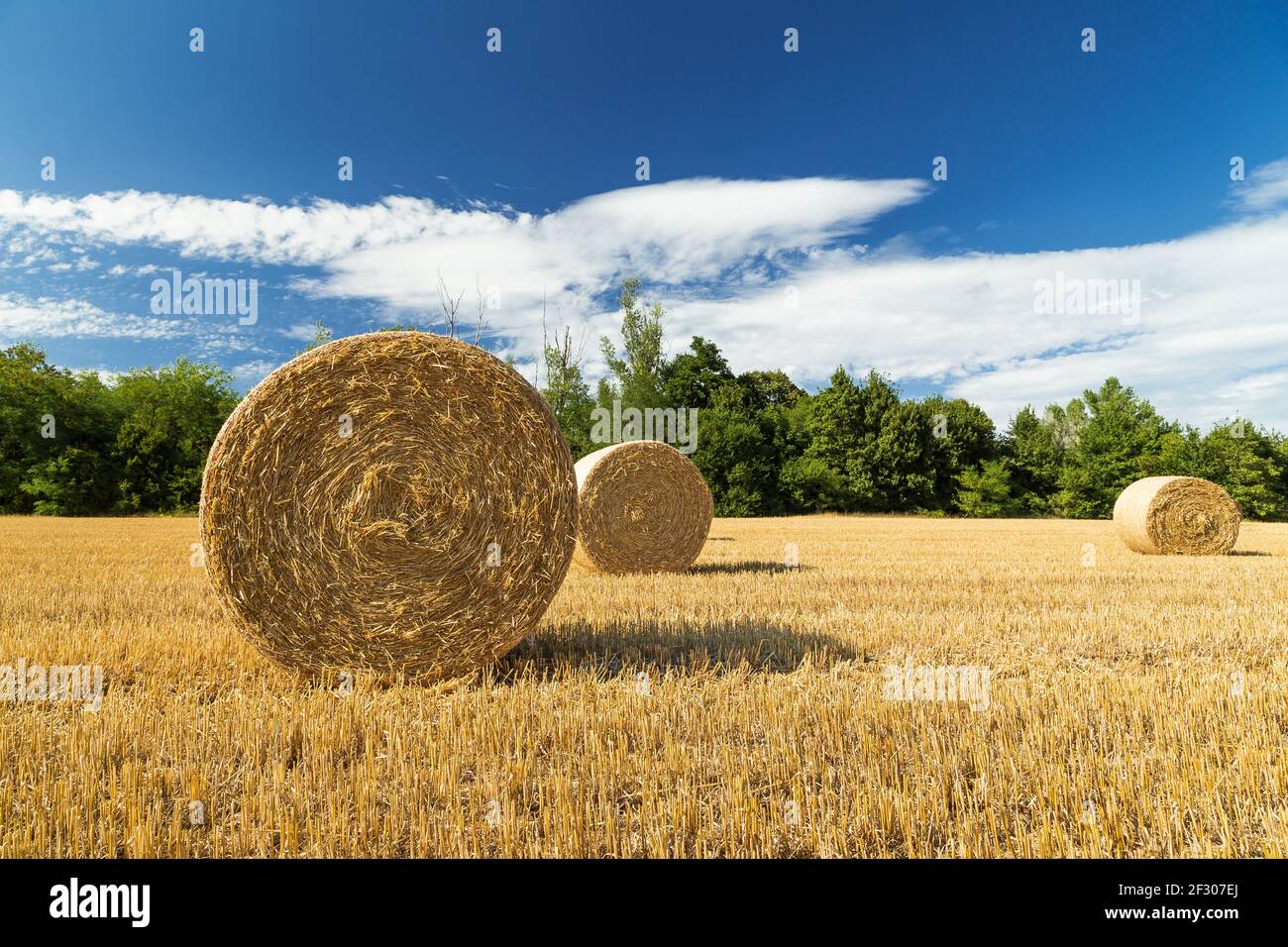 Schöner Panoramablick auf ein Feld mit Strohballen und einem blauen Himmel mit Wolken. Stockfoto