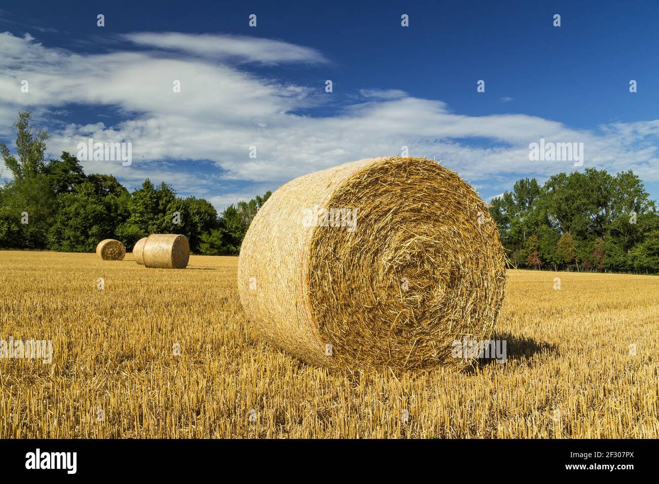 Schöner Panoramablick auf ein Feld mit Strohballen und einem blauen Himmel mit Wolken. Stockfoto