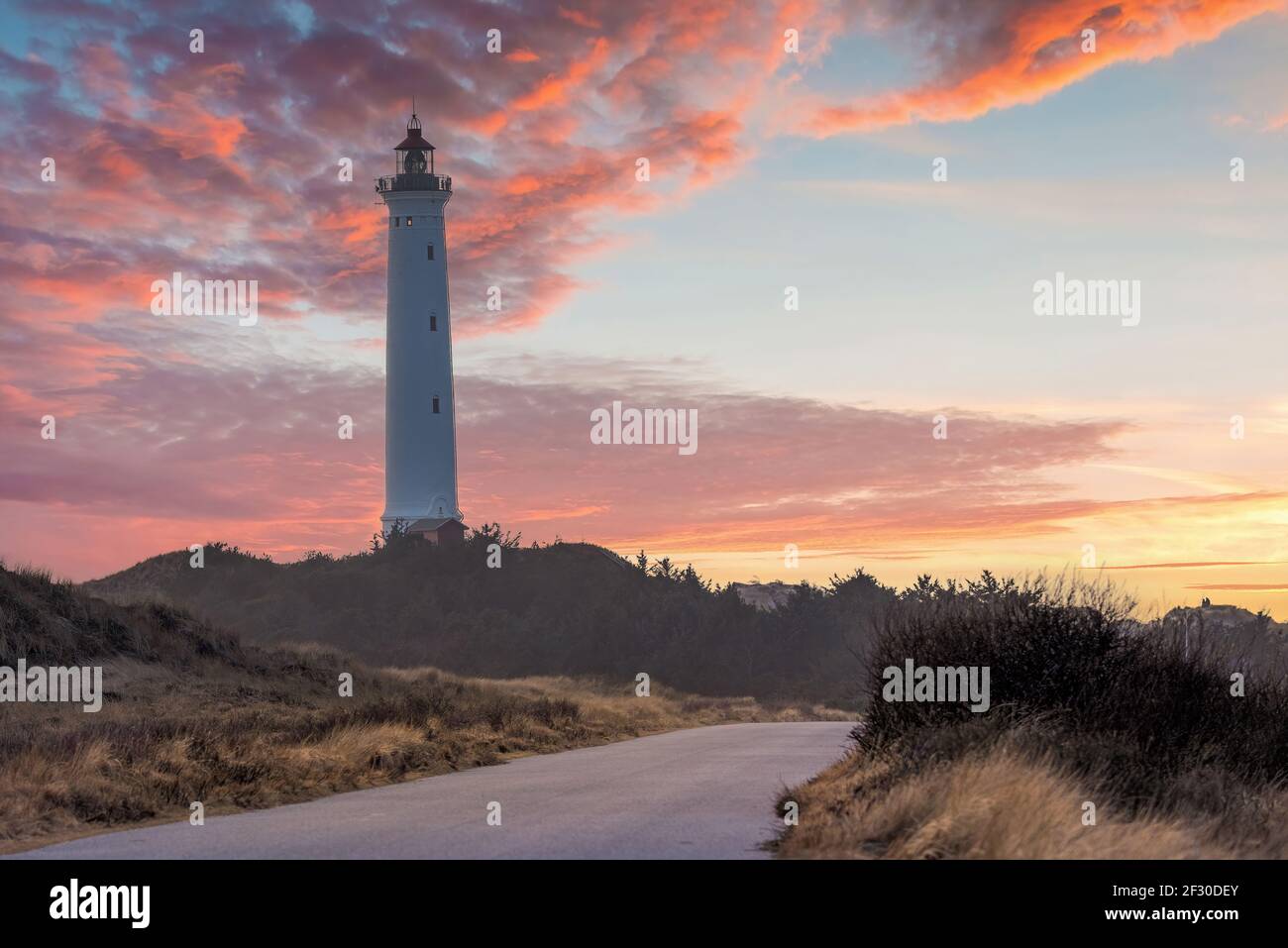 Der 1906 erbaute, 38 Meter hohe Leuchtturm Lyngvig Fyr an der dänischen Nordseeküste ist eine wunderschöne Touristenattraktion inmitten der Sanddünen. Stockfoto