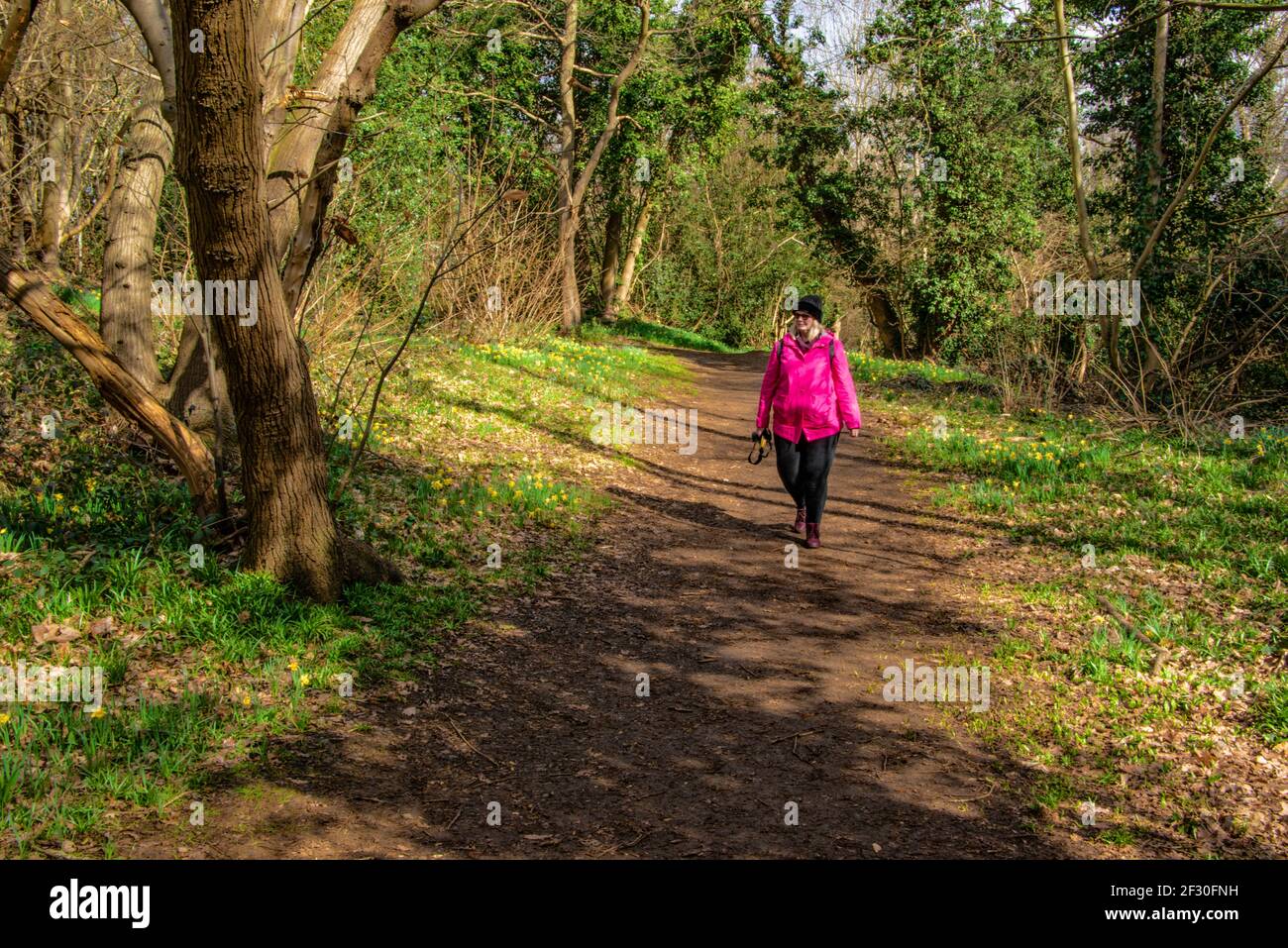 Frau, die allein in Lesnes Abbey Woods läuft. Stockfoto
