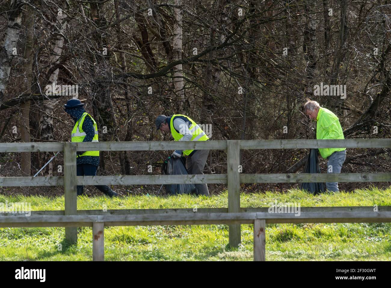 Freiwillige Wurfpflücken auf dem Land tragen hohe vis Kleidung, Großbritannien. Aufräumen von Straßenrändern. Stockfoto