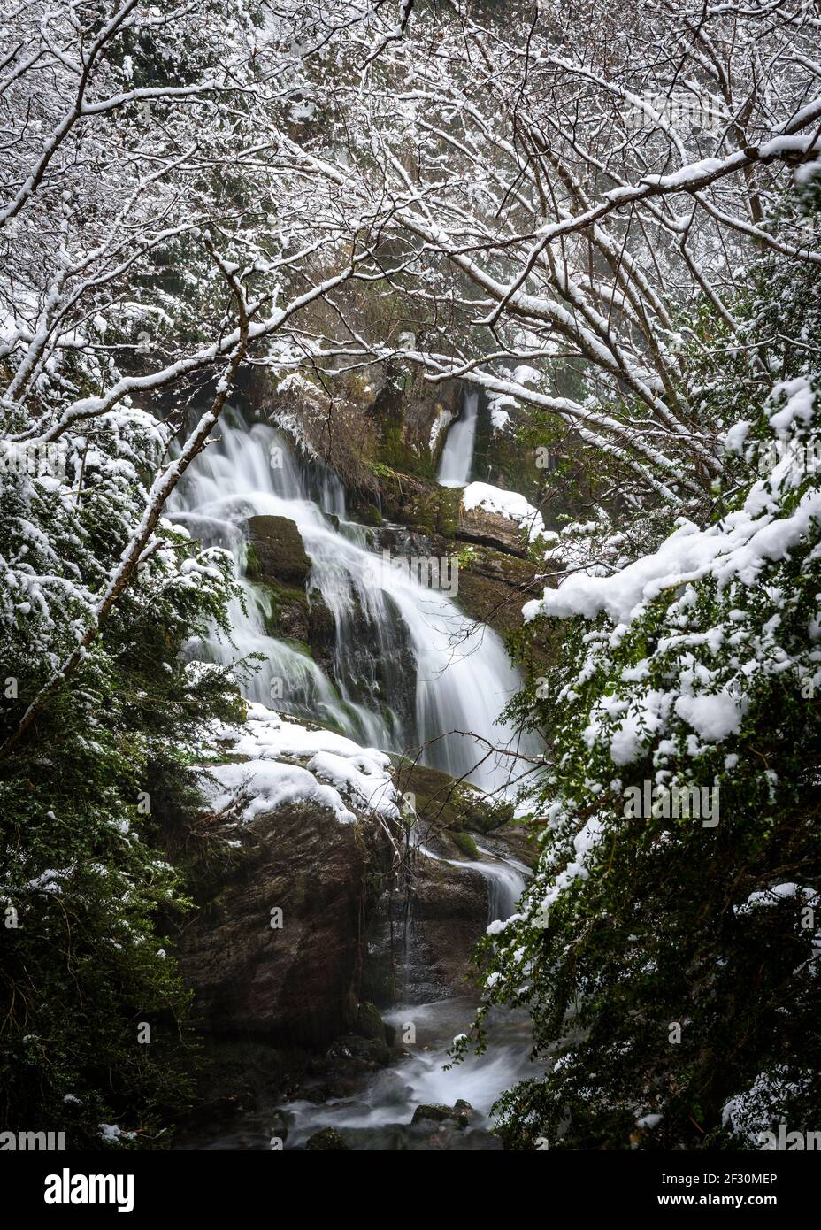 Die Llobregat Quelle / Wasserfall und ihre Umgebung bei einem Winterschnee (Berguedà, Katalonien, Spanien, Pyrenäen) Stockfoto