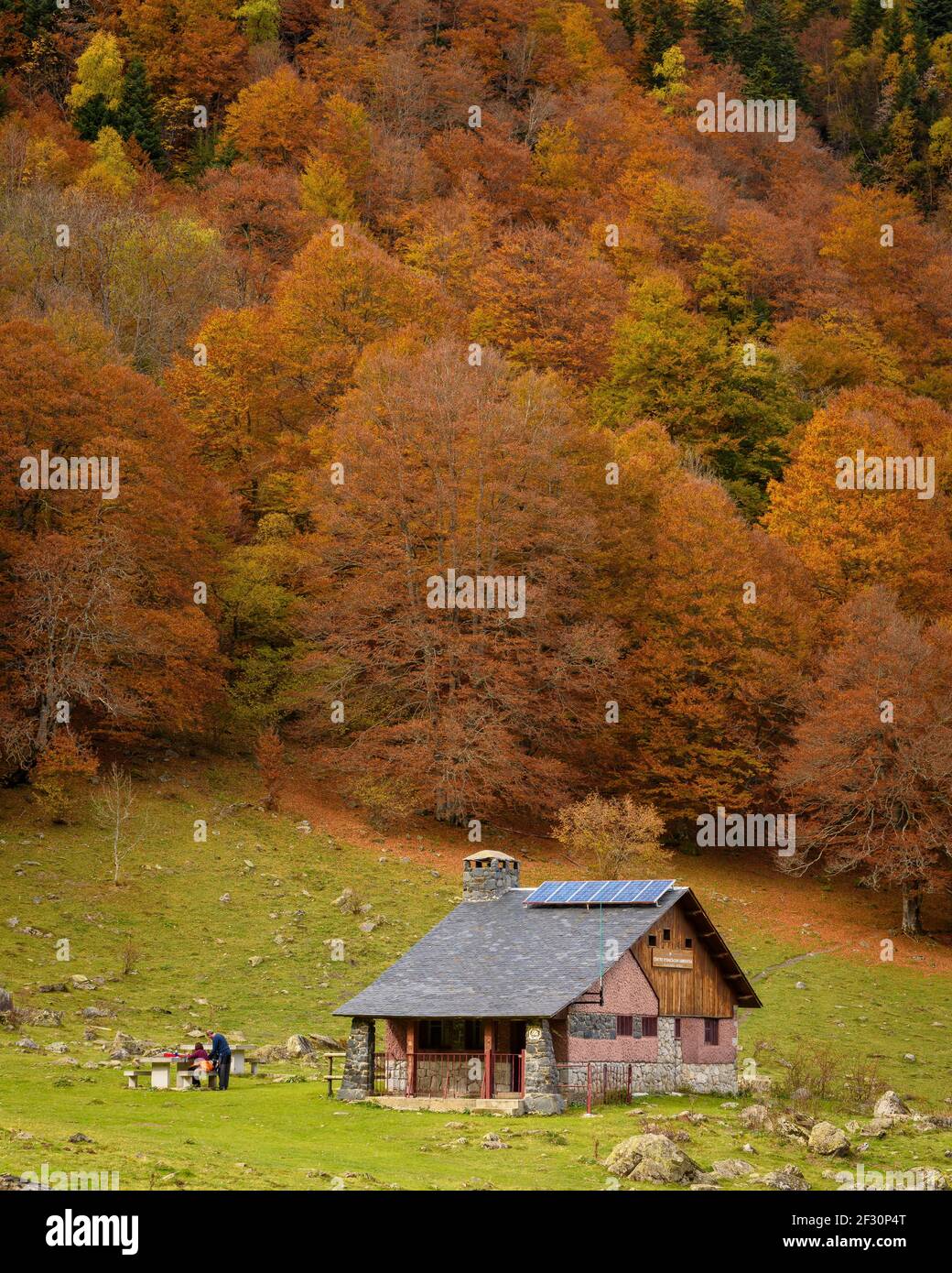 Buchenwald im Artiga de Lin-Tal, im Herbst (Aran-Tal, Katalonien, Spanien, Pyrenäen) ESP: Hayedo del valle de Artiga de Lin, en otoño Stockfoto