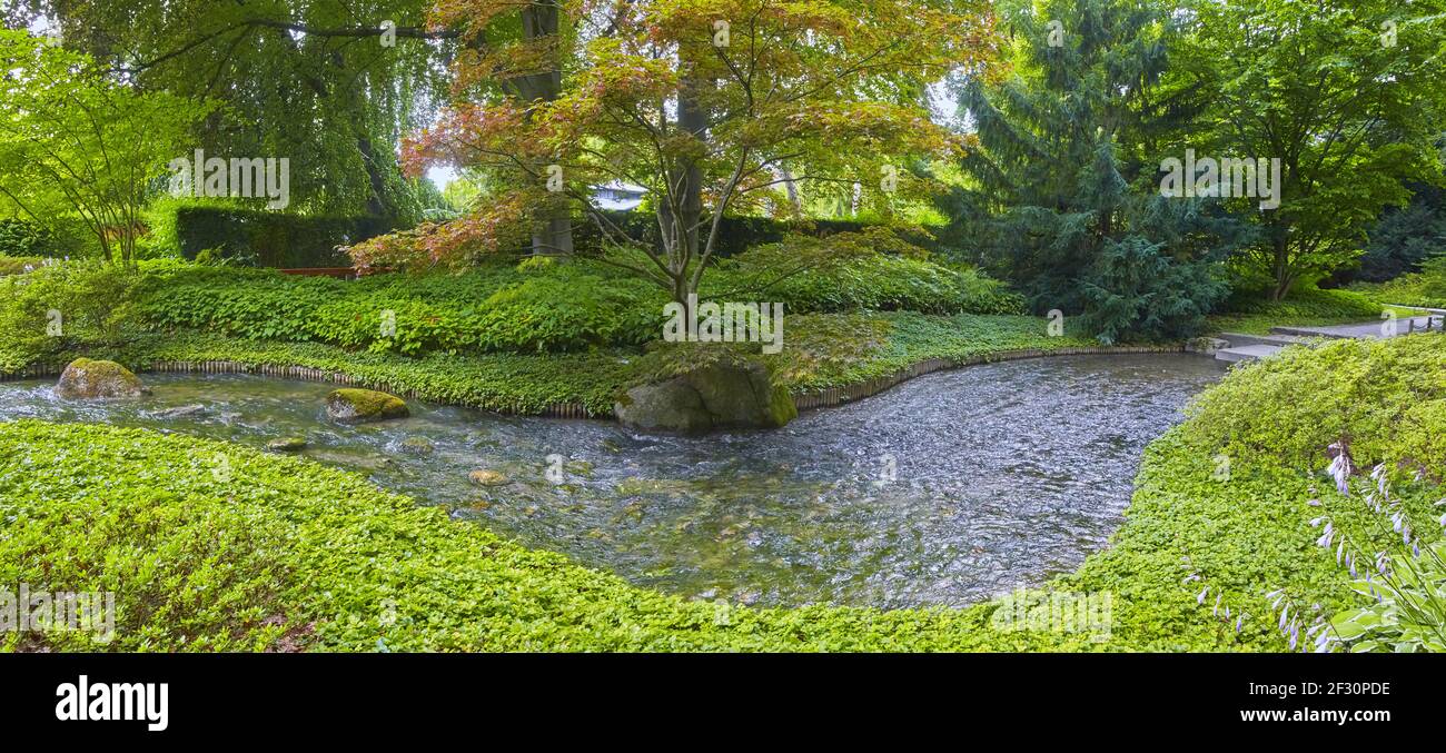 Schöner japanischer Garten mit einem kleinen Bach, im Panoramafformat. Stockfoto