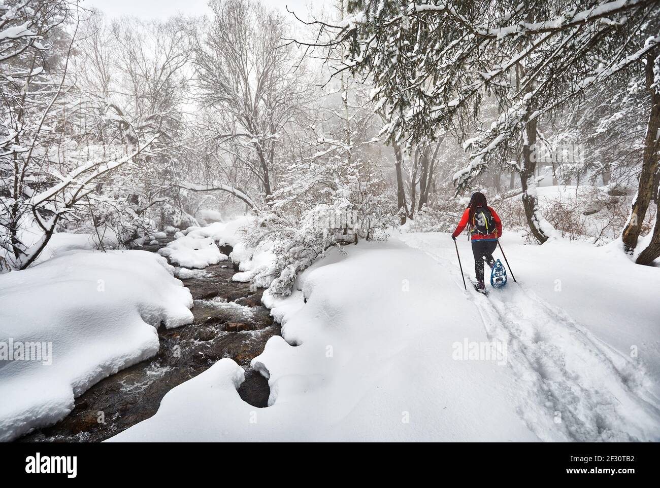 Frau mit Schauschuhen ist im Winter verschneiten Wald in der Nähe des Flusses in Almaty, Kasachstan zu Fuß Stockfoto