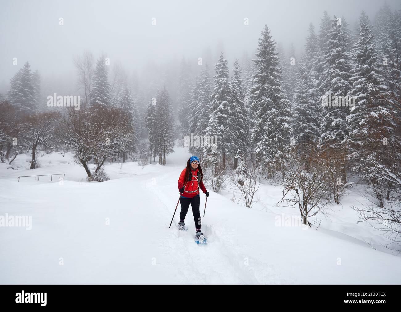 Frau, die mit Schauschuhen unterwegs ist in den Winter verschneiten Wald in Almaty, Kasachstan Stockfoto