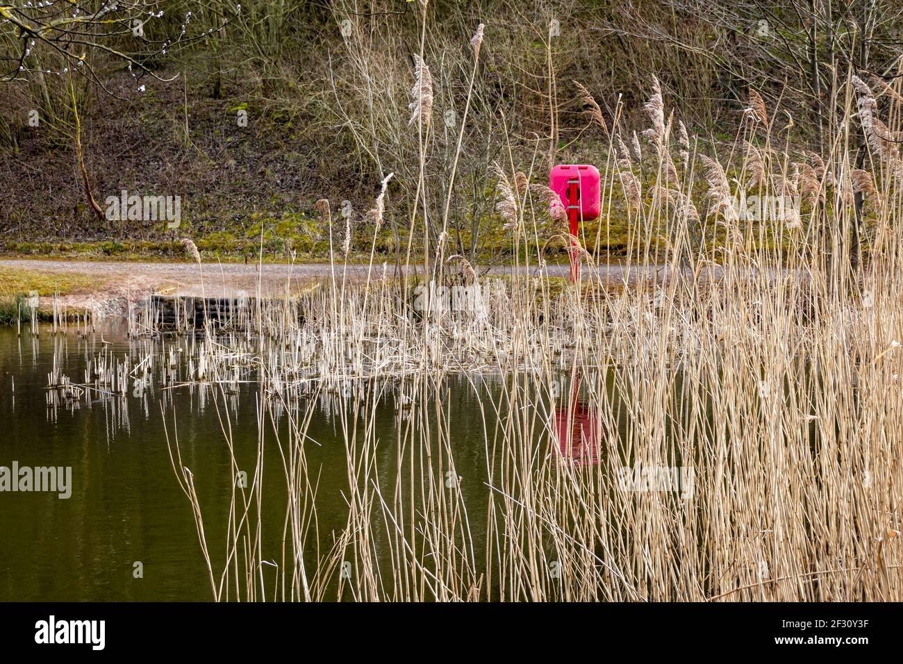 Rote Box auf einer Post Halten einer Rettungsgurt Auftriebshilfe An einem See in einem Wald in Derbyshire Stockfoto