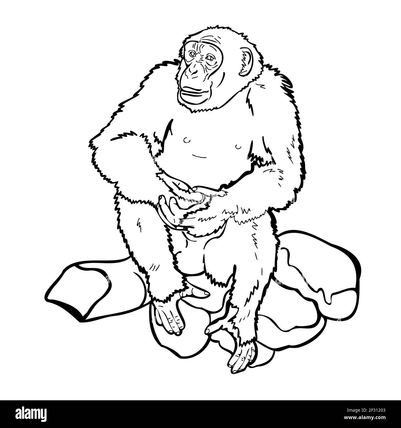 Schimpansen auf Felsen sitzend, Zeichnung illustraion schwarz-weiß, Vektor-Illustration. Stock Vektor