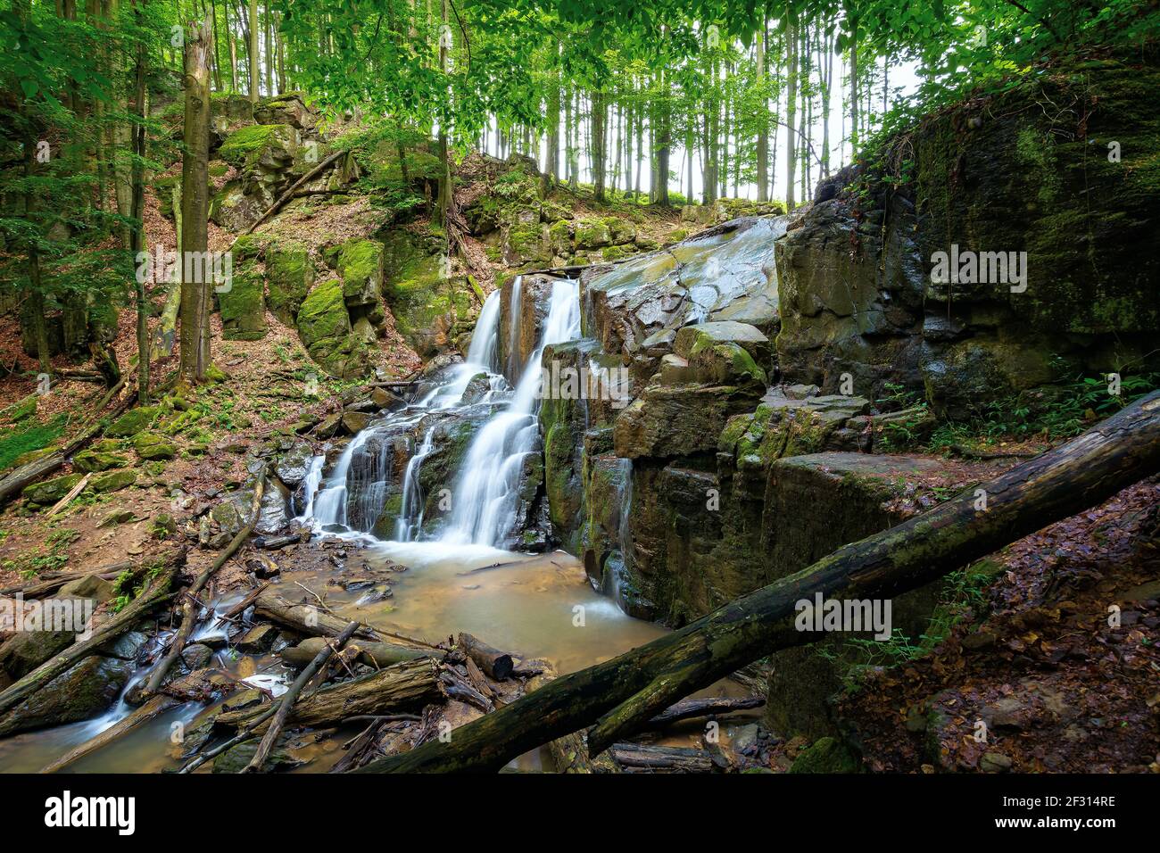 Wildwasserfall skakalo im Frühling. Landschaftlich reizvolle Reise Ziel der region mukachevo transkarpatien, ukraine. Kaltes Wasser fallen aus dem Felsen. Konzept der b Stockfoto