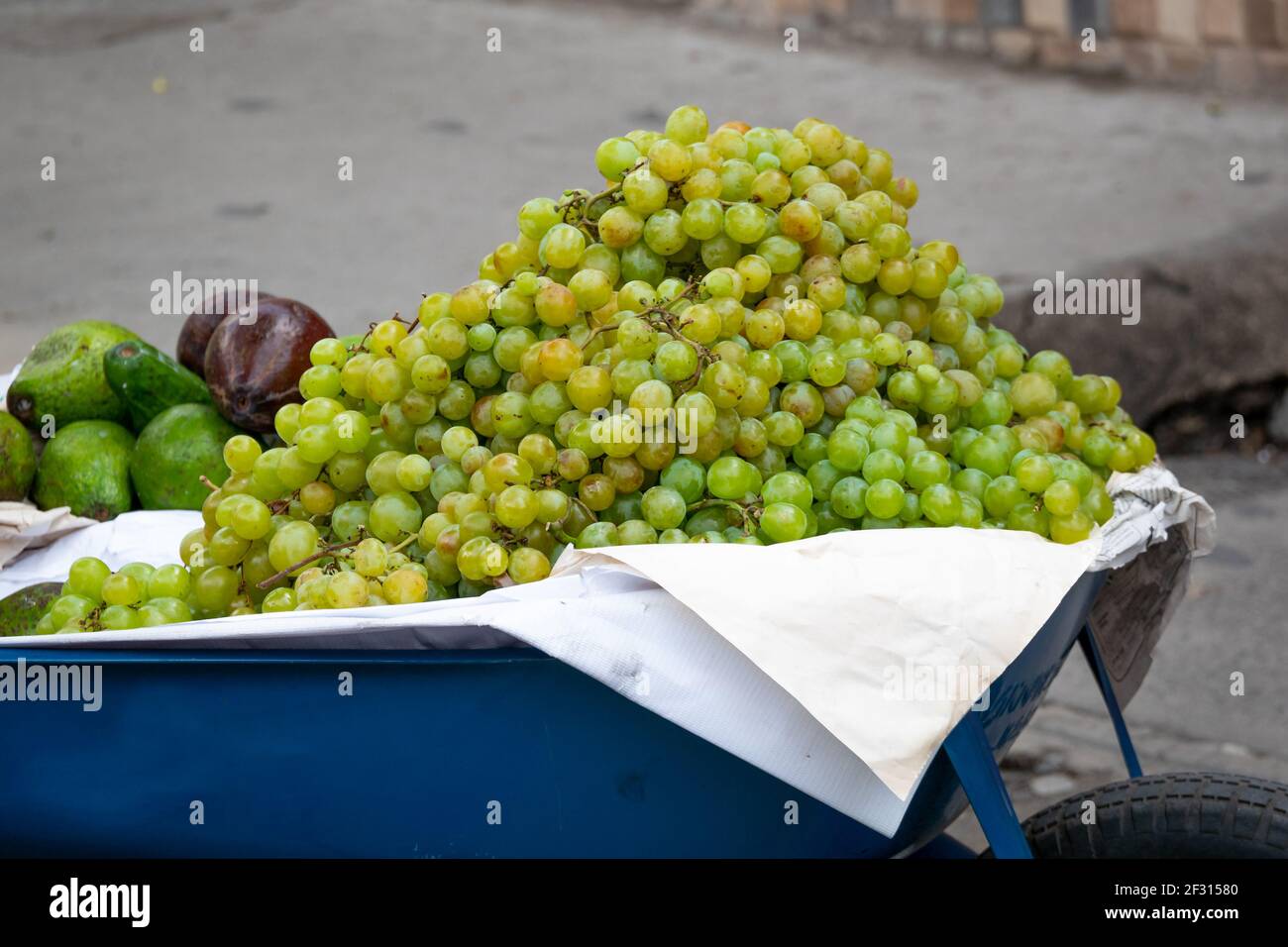 Große Menge grüner Trauben in einer Blauen Schubkarre Stockfoto