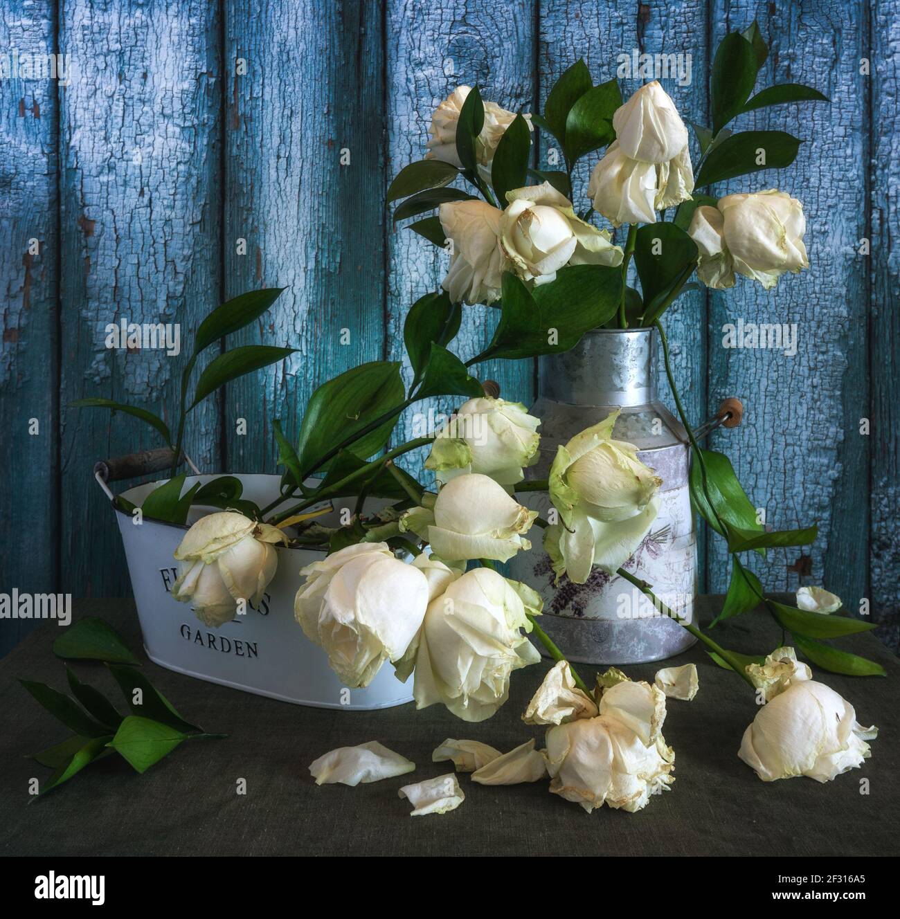 Stillleben mit einem Bouquet von weißen verwelkten Rosen. Vintage. Stockfoto