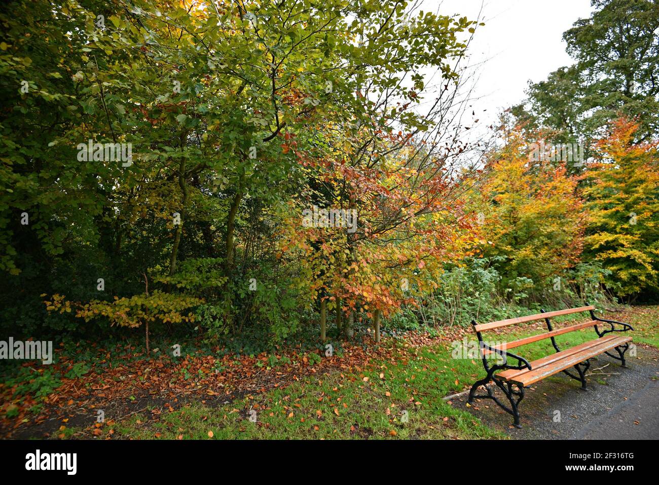 Herbstlandschaft mit landschaftlicher Aussicht auf das Kilkenny Castle, das die Gärten in der Grafschaft Kilkenny, Leinster Irland umgibt. Stockfoto