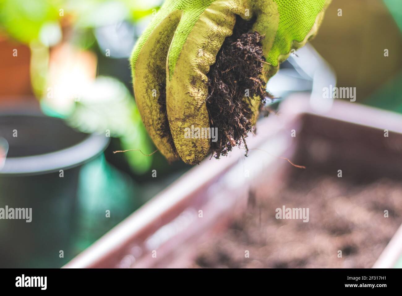 Nahaufnahme von fruchtbarem Boden zum Pflanzen von Gemüse und Kräutern Stockfoto