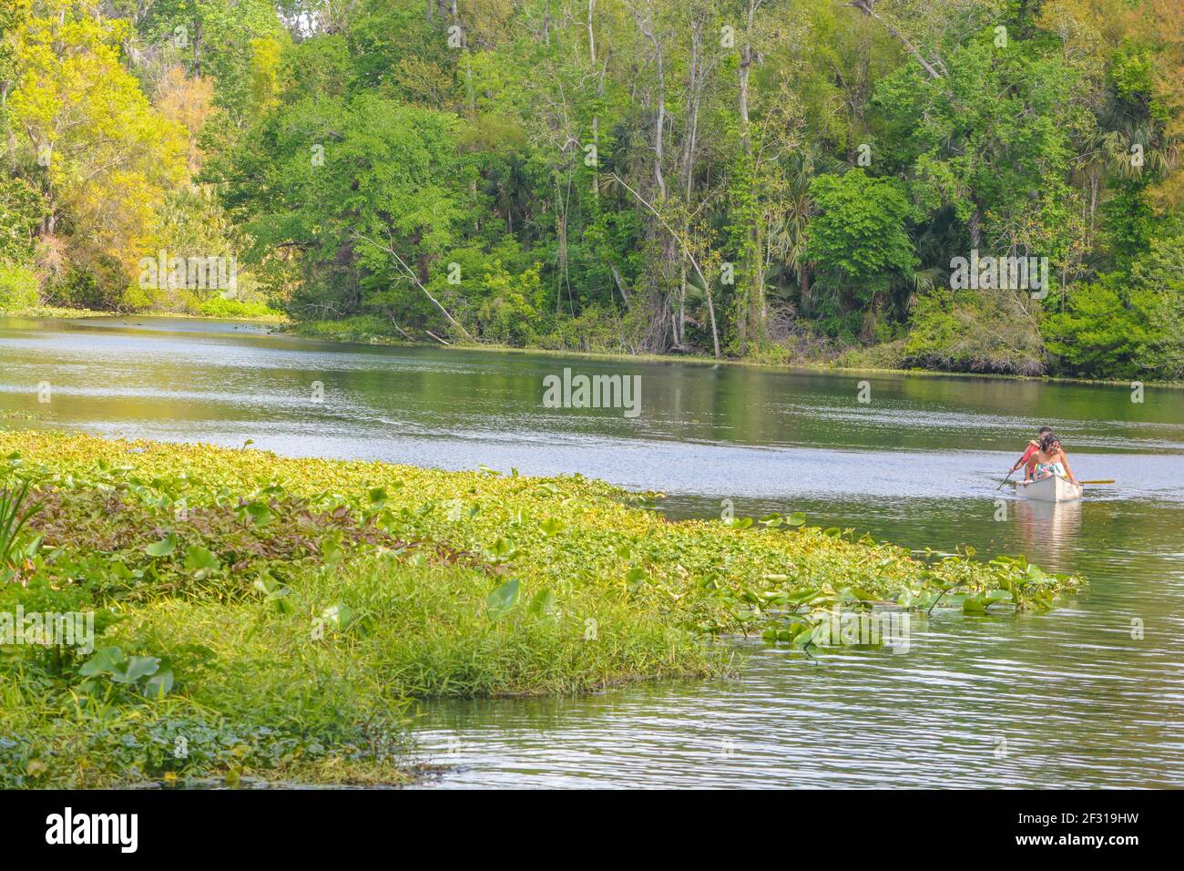 Der schöne Wekiwa Fluss langsam durch Wekiwa Springs State Park in Opapka, Seminole County, Florida Stockfoto