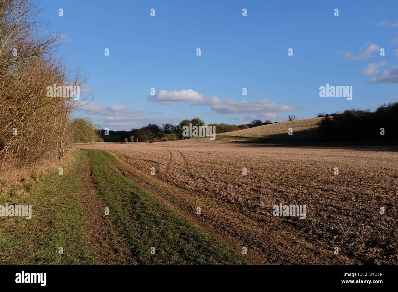 Weite offene Himmel Blick auf große Feld in Newport Essex Warten auf die Anzeige des Beschnitts Stockfoto