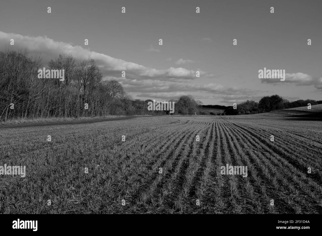 Weite offene Himmel Blick auf große Feld in Newport Essex Warten auf die Anzeige des Beschnitts in Schwarz und Weiß Stockfoto