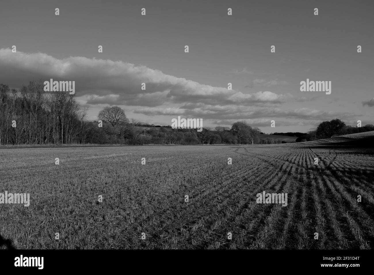 Weite offene Himmel Blick auf große Feld in Newport Essex Warten auf die Anzeige des Beschnitts in Schwarz und Weiß Stockfoto