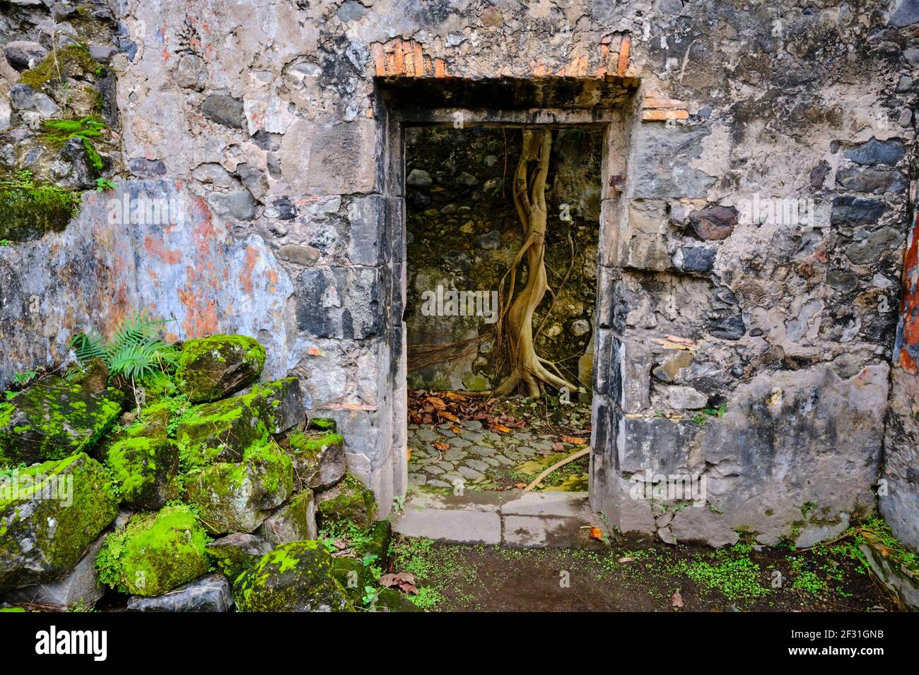 Frankreich, Westindien, Martinique, Saint-Pierre, Ruine des Gefängnisses Stockfoto