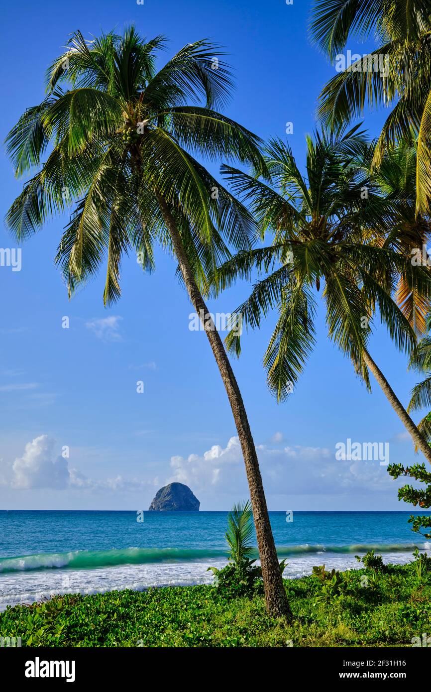 Frankreich, Westindien, Martinique, Le Diamant, der Strand und der Felsen von Diamant Stockfoto