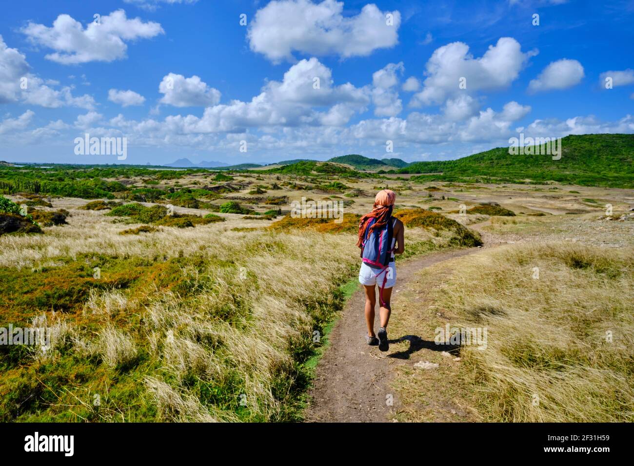 Frankreich, Westindien, Martinique, Sainte-Anne, Petrification Savannah Stockfoto