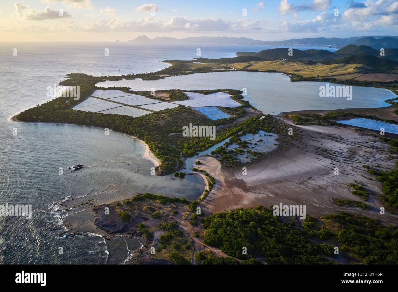 Frankreich, Westindien, Martinique, Sainte-Anne, Petrification Savannah Stockfoto